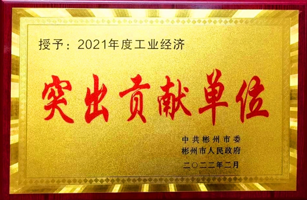 1645495273213747.jpg 彬州市2021年度工业经济突出孝顺单位.jpg
