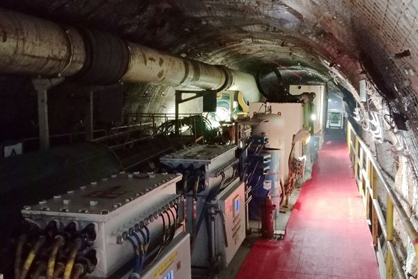 1692579684646476.jpg 13_.jpg