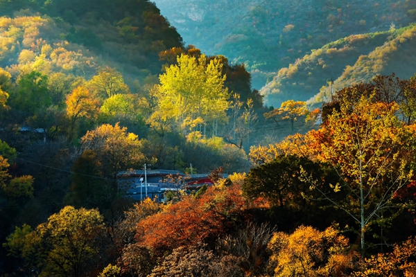 1695721725639082.jpg ÇïÌìËæÏë_¸±±¾.jpg