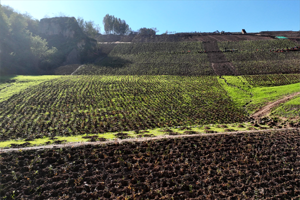 1698630698160566.png DJI_0743(1)(1)_¸±±¾.png