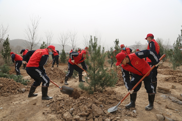 1704441851154738.jpg ÒåÎñÖ²Ê÷_¸±±¾.jpg