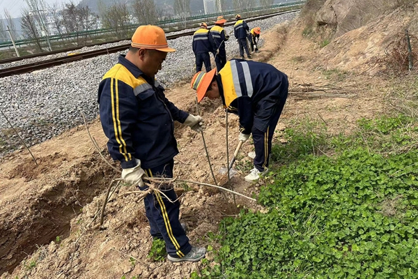 1714354918196169.jpg Ïß·»¤ÆÂÕûÖÎ_¸±±¾.jpg