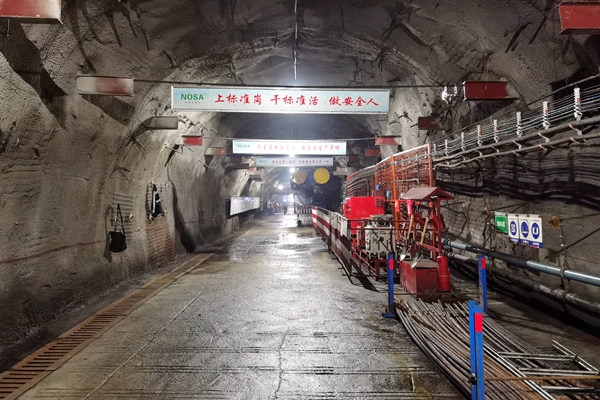 1717119233536782.jpg Åäͼ1_¸±±¾.jpg