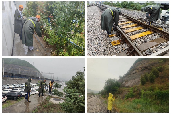 1720511934135357.jpg 线路巡查_副本.jpg