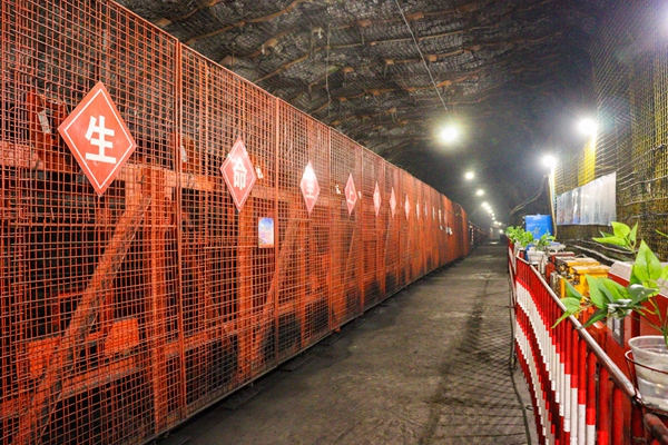 1730097484123022.jpg 1_¸±±¾.jpg