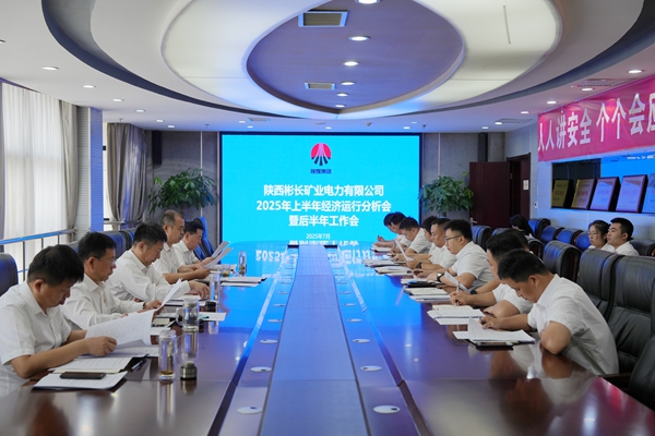 1753318776374090.jpg µçÁ¦¹«Ë¾ÕÙ¿ª2025ÄêÉϰëÄê¾¼ÃÔËÐÐÆÊÎö»áôßÊÂÇé»á.JPG