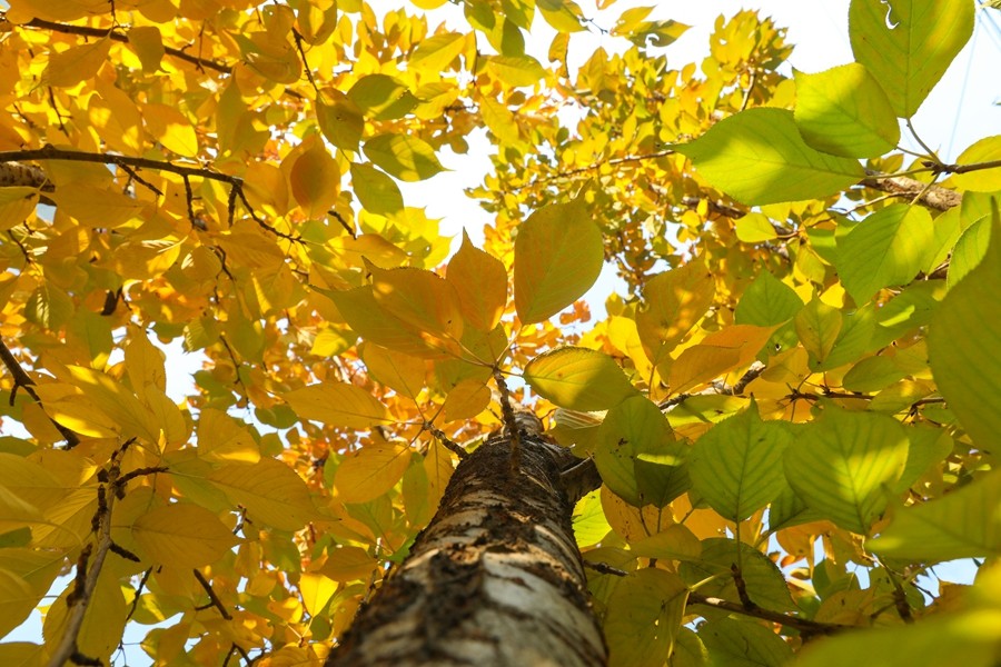 1761551071217609.jpg