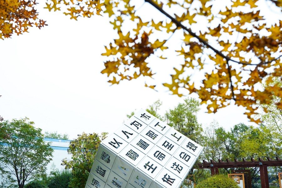 1761897813904060.jpg