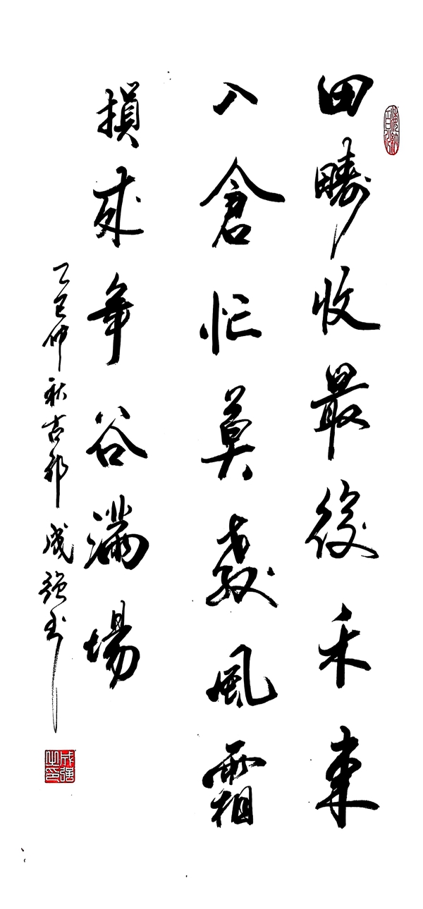 1762504815100800.jpg