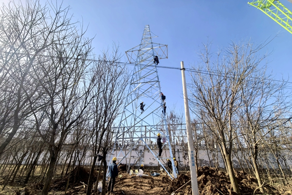 1764317936175066.jpg 完成铁塔架设_副本.jpg