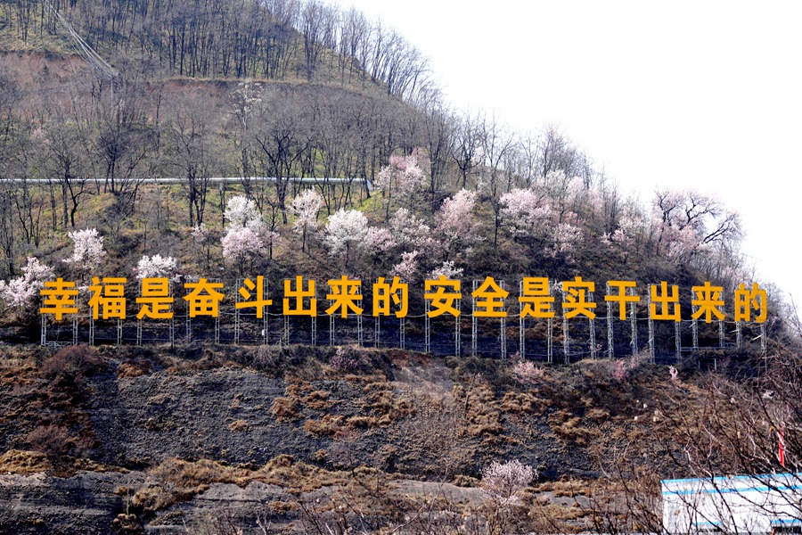 1775635346190851.jpg DSC07284_¸±±¾.jpg